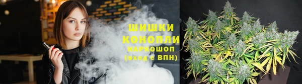 PSILOCYBIN Баксан