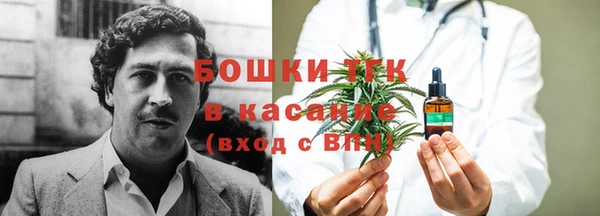 PSILOCYBIN Баксан