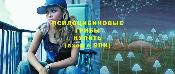 гашик Балахна