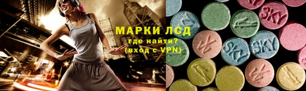 гашик Балахна