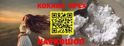 стаф Гатчина