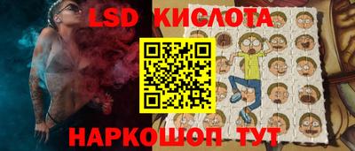 стаф Гатчина
