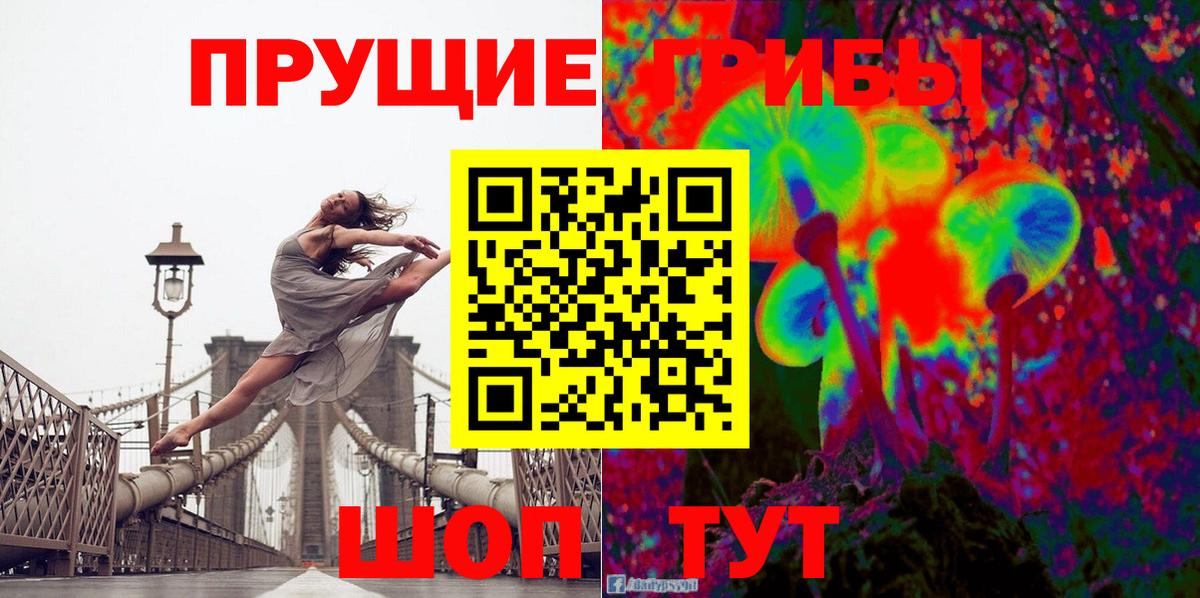 Галлюциногенные грибы Psilocybe Белая Калитва