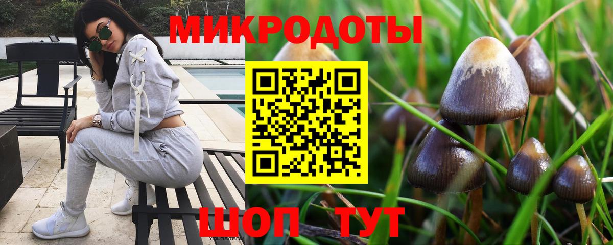 Белая Калитва  Галлюциногенные грибы мухоморы  Вход с VPN 
